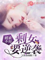 小说剩女不打折