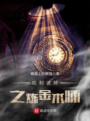 哈利波特与炼金术师 小说