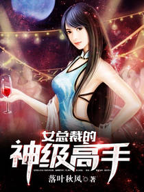 女总裁的神级高手落叶秋风著
