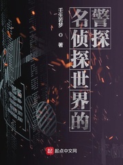 名侦探世界的警探免费阅读小说