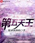 小精灵之第五天王无弹窗