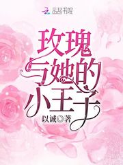 小说小王子与玫瑰