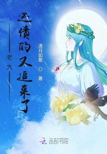 老大还债的又追来了小说txt免费阅读