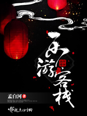 乐游客栈小说全本免费阅读