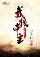 武极帝主小说全文免费阅读下载