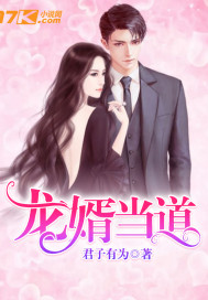 龙婿当道小说阅读免费无弹窗