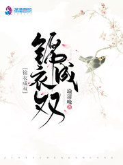 锦衣成双小说阅读免费全文