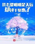 我的老婆明明是天后却过于贤