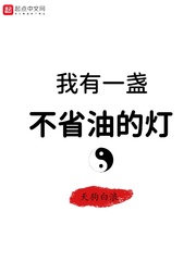 我有一盏不省油的灯txt小说免费阅读无弹窗