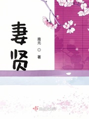 南元小说作者简介