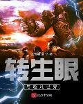 有转生眼的小说