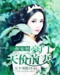 一夜危情:豪门天价前妻txt