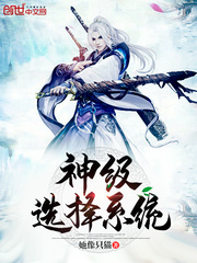 神级选择系统白沐沐
