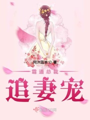 总裁追妻霸道宠无弹窗