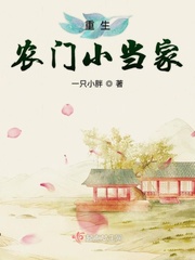 重生小农女当家