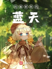 向着崭新的蓝天小说阅读免费全文