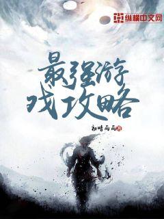最强游戏攻略小说在线阅读无弹窗