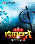 重生之跨国巨头的小说