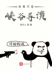 我真不是英雄小说