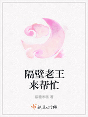 隔壁老王来帮忙txt小说免费阅读