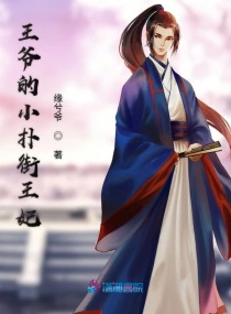 王爷的小扑街王妃小说在线阅读无弹窗