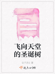 飞向天堂的风筝