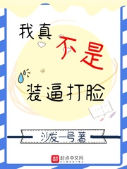 我真不是女装大佬小说