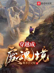 穿越成废魂境小说阅读免费全文