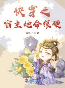 福禄丸子小说