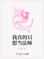 我真的只想当个厨子啊123