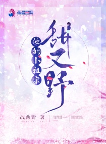 西野维新小说