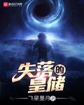 失落的记忆小说
