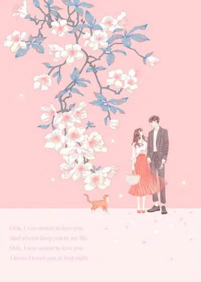 溥浅慕时念