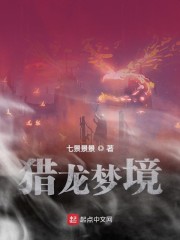 猎龙梦境txt小说免费阅读全文