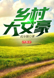 乡村大亨 小说