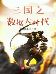 数据流三国召唤小说排行榜