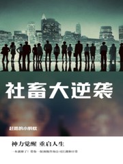 社畜的我宛若轻小说女主角晋江