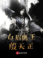 白眉鹰王 小说