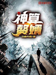 神算赘婿小说免费下载