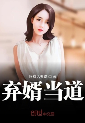 叶辰王佳珧的小说叫什么