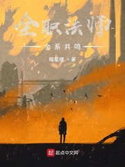 全职法师。!