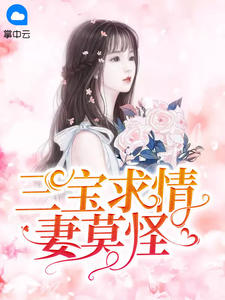 三宝助力妻莫逃免费阅读