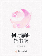 雁何时南飞
