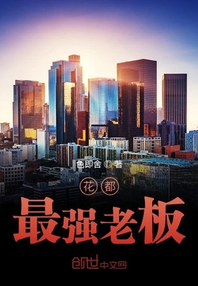 陆启主角小说