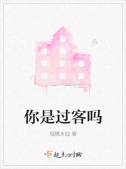 你是过客吗小说免费阅读下载