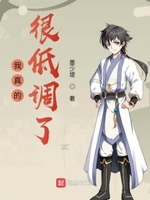 我真的很低调了小说txt免费