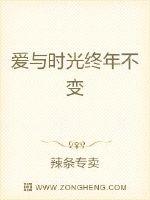 爱与时光终年不变免费阅读全文