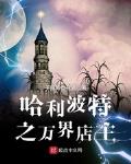 哈利波特之万界店主 子爵的青花瓷