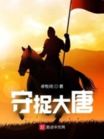 大唐一人守一城的小说