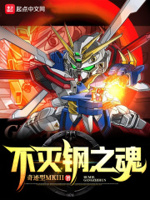 不灭钢之魂txt小说免费阅读